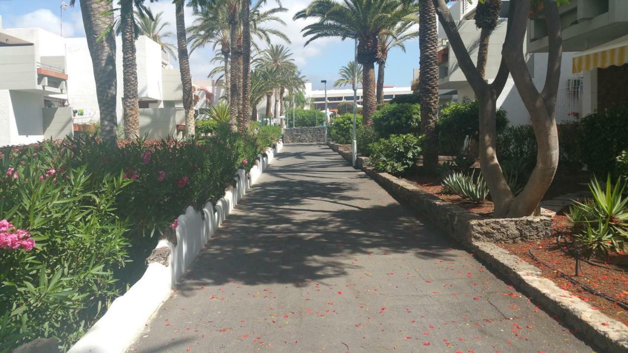 Residencial Primavera طوستا ديل سيلونثيو المظهر الخارجي الصورة