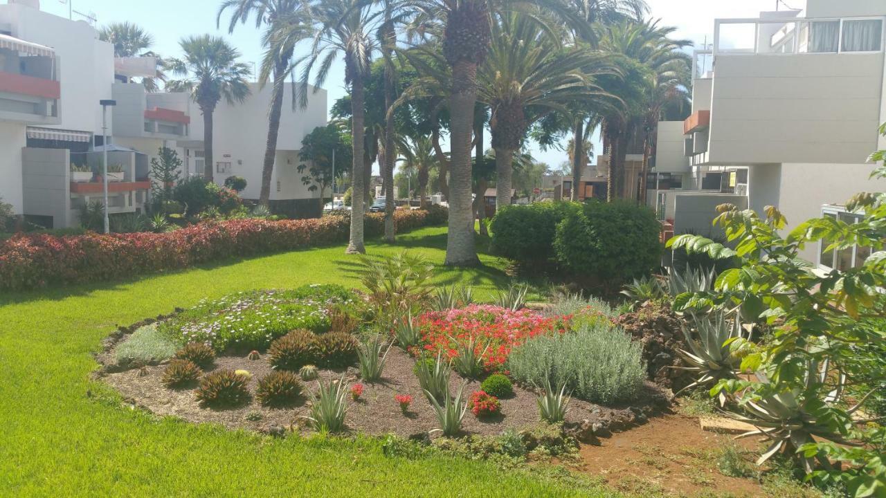 Residencial Primavera طوستا ديل سيلونثيو المظهر الخارجي الصورة