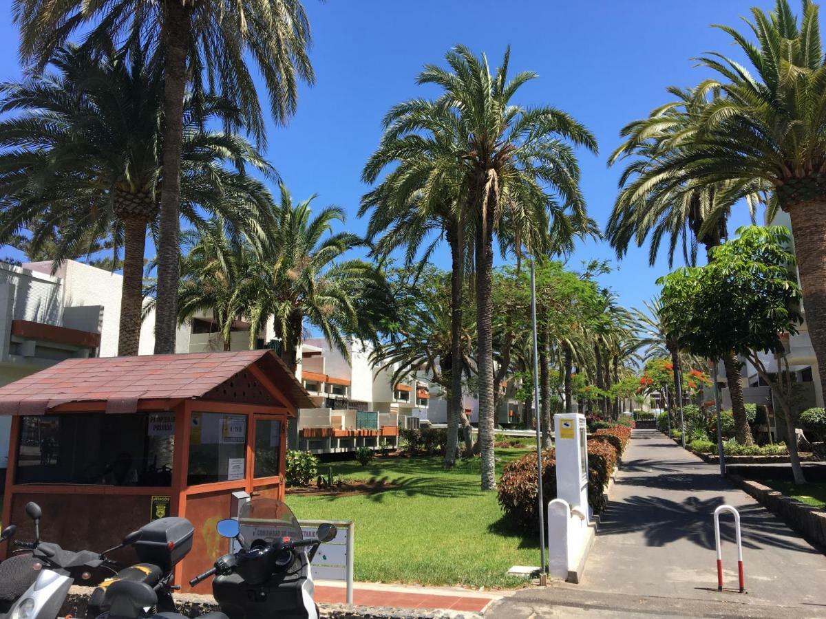 Residencial Primavera طوستا ديل سيلونثيو المظهر الخارجي الصورة