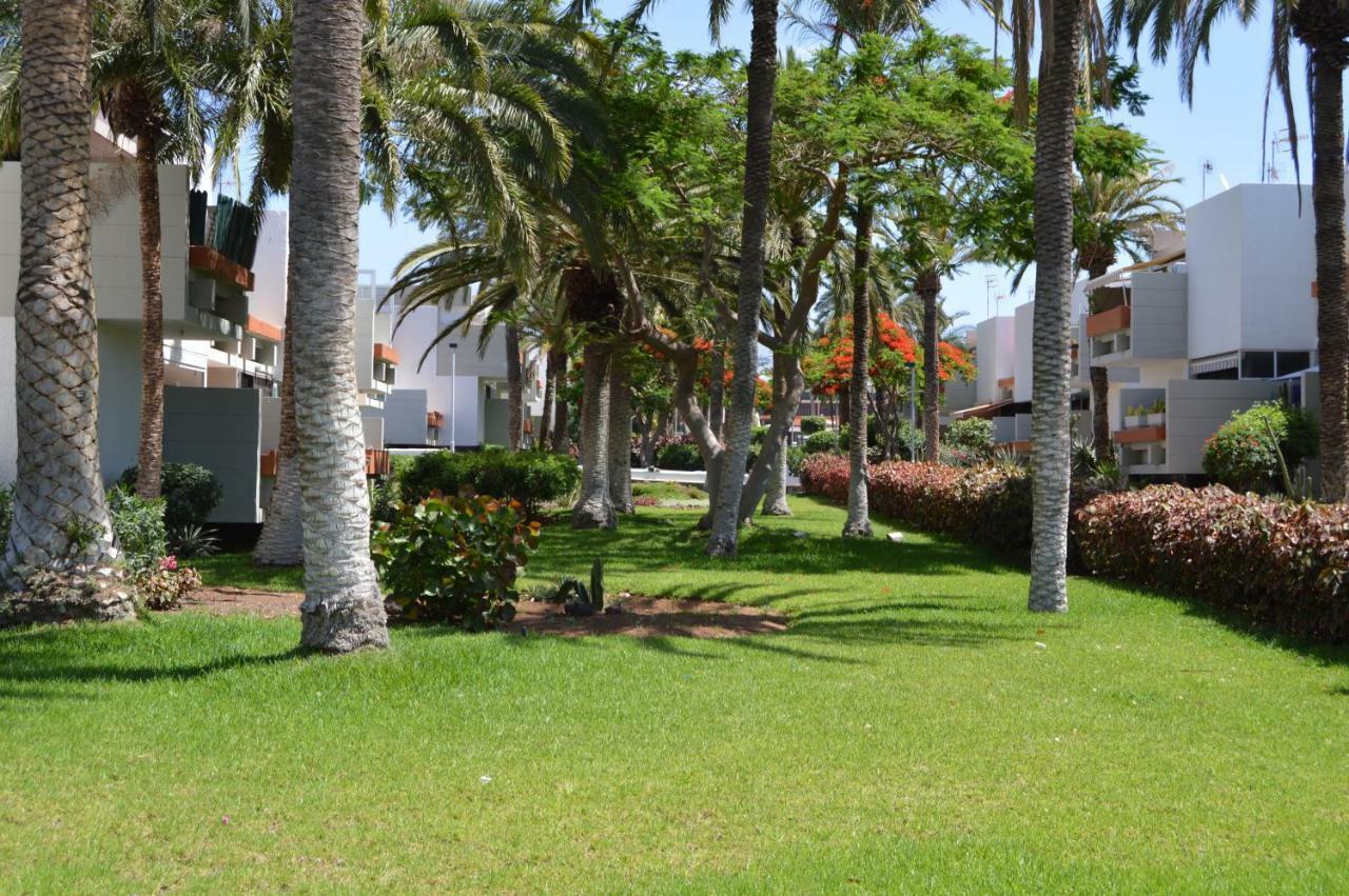 Residencial Primavera طوستا ديل سيلونثيو المظهر الخارجي الصورة