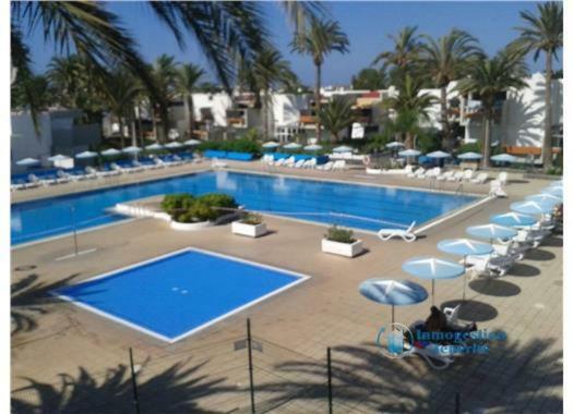 Residencial Primavera طوستا ديل سيلونثيو المظهر الخارجي الصورة
